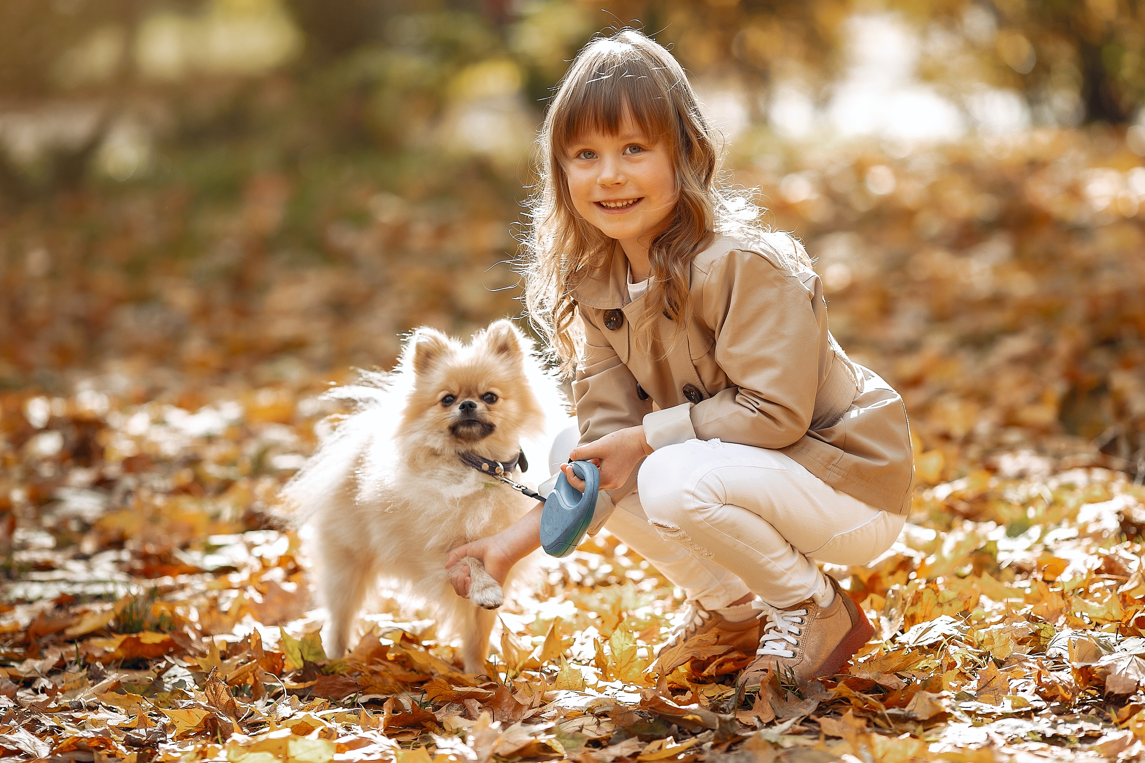 petits chiens pour enfants