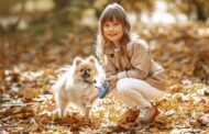 Top 6 des petits chiens les plus gentils