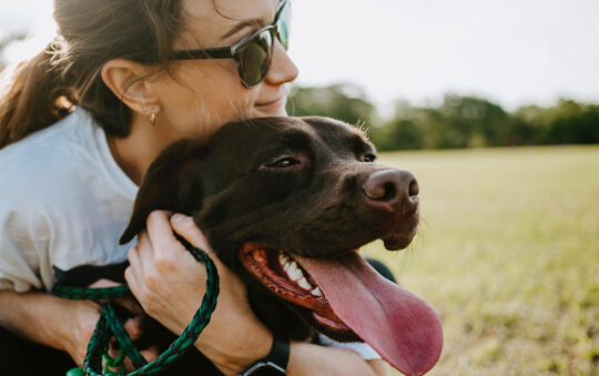 Les 5 meilleures façons de montrer à votre chien que vous l’aimez