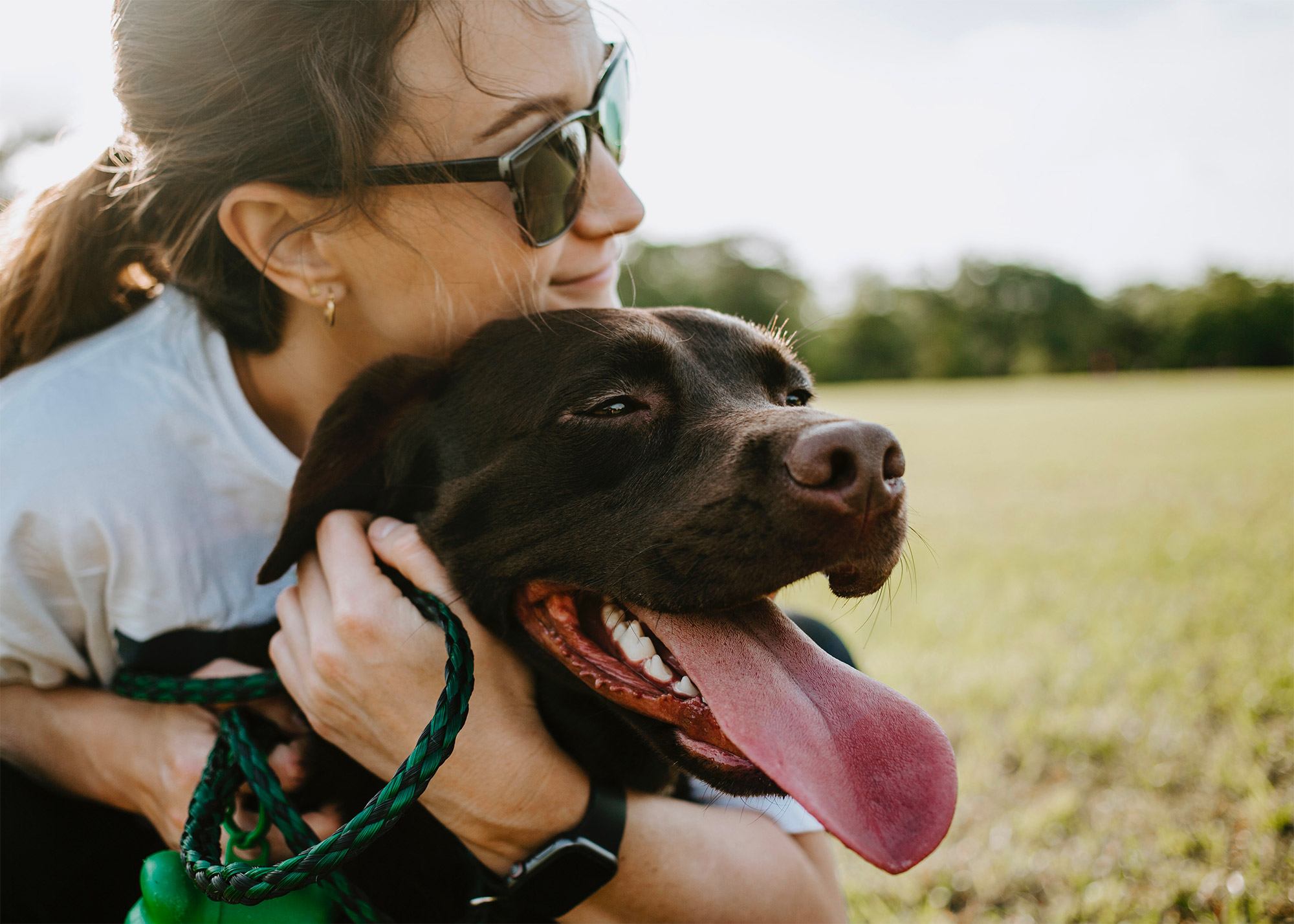 Les 5 meilleures façons de montrer à votre chien que vous l’aimez