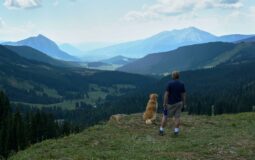 Le top 8 des races de chiens pour les passionnés de randonnée Le top 8 des races de chiens pour les passionnés de randonnée