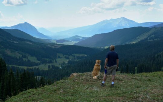 Le top 8 des races de chiens pour les passionnés de randonnée