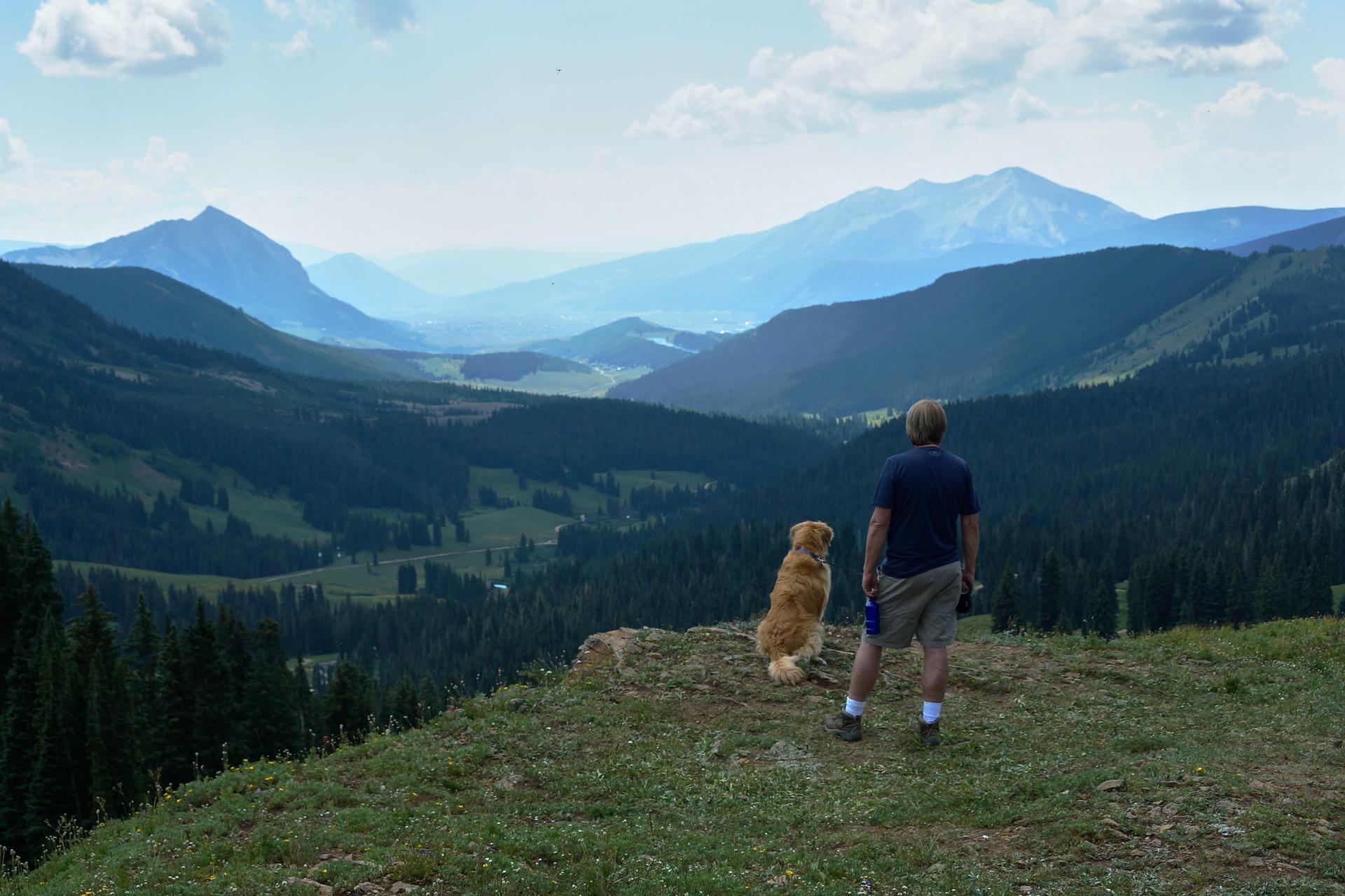 Le top 8 des races de chiens pour les passionnés de randonnée